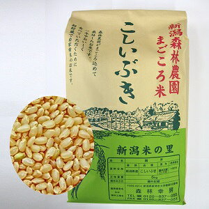 ܂ā@Ԃ5kgyVXє_ƍ͔|z