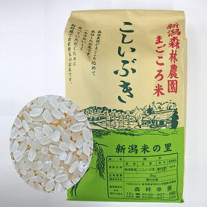 ܂ā@Ԃ5kgyVXє_ƍ͔|z