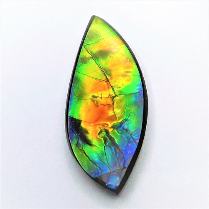 楽天市場】【店長お勧め】【宝石・ルース】アンモライト Ammolite 14 