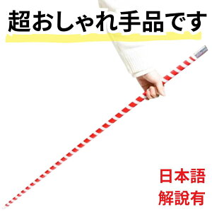 y2Zbgzi }WbN AsAOP[  LfBP[ XebLo g Ԕ SC_ Lk_ ObY S ȒP ObY100cmy{Lz