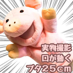 yzpybg ʂ Ԃ u^  bp l`  25cm  ct v[gܕtyiʐ^Lz