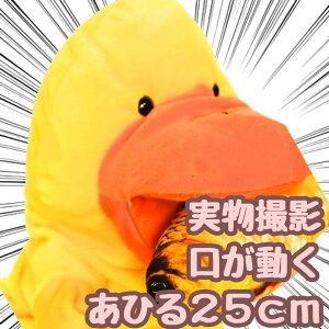 yzpybg ʂ Ђ Aq bp l`  Aj} ct 25cm qR Ђ悱 tyiʐ^Lz