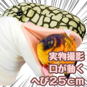 yzpybg ʂ ւ wr  bp l`  25cm  qlΉ j nEB v[gܕtyiʐ^Lz