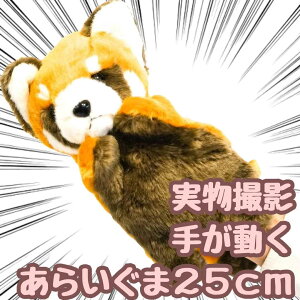 yzpybg ʂ 炢 ACO} XJ N[ bp l`  25cm  qlΉ j nEB v[gܕtyiʐ^Lz