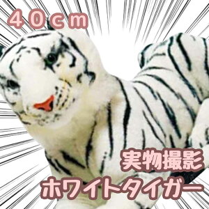 yzʂ ^CK[ g  zCg^CK[ 傫   rbO  A   40cm  qlΉ j nEB v[gܕtyiʐ^Lz