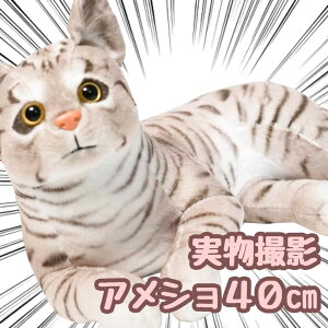 yzʂ AJV[gwA AV L lR ˂ 傫   rbO  A 40cm  qlΉ j nEB v[gܕtyiʐ^Lz