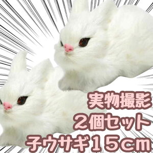 yz2Zbg ͌^  qETM e   A tBMA l` 10cm  qlΉ j nEB v[gܕtyiʐ^Lz