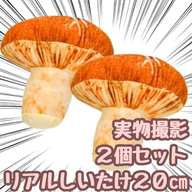 【翌日発送】2個セット ぬいぐるみ しいたけ シイタケ 椎茸 小 小さい ふわふわ クッション リアル 20cm 食べ物 子供大人対応 お祝い ハロウィン プレゼント袋付【現品写真有】