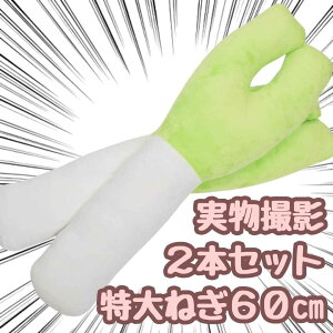 yzʂ ˂ lM K 傫   ӂӂ NbV  {[JCh 2{Zbg A 60cm Hו qlΉ j nEB v[gܕtyiʐ^Lz