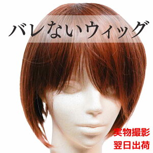 yvX^CXgzEBbO@zXg@؍@}bV@Y@uE@F@Ԓ@IWuE@Z@R@27cm@t@bV