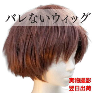 yvX^CXgzEBbO@Et@uE@zXg@؍@}bV@Y@F@~fBA@27cm@t@bV