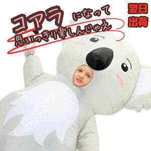 yz RA  ʂ RX RXv 蕨 165cm 170cm 180cm 190cm M L LL q剞Ή RX`[ j nEB tyiʐ^Lz