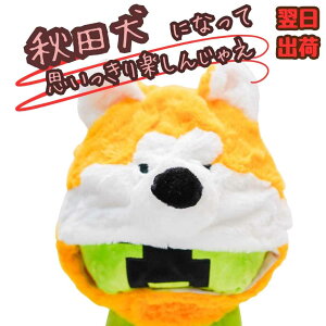 yzXq Hc   ʂ RXv 蕨 60cm  q剞Ή RX`[ ڂ j nEB v[gܕtyiʐ^Lz