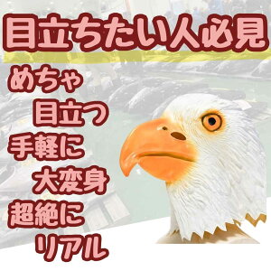 yz킵 V h C[O ttFCX }XN S RXv 蕨  60cm qlΉ RX`[ j nEB v[gܕtyiʐ^Lz