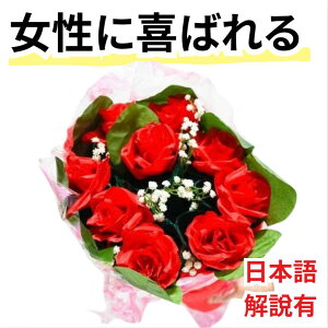 yLzi ŊJ XvOt[@u[~Ou[P {ܕt