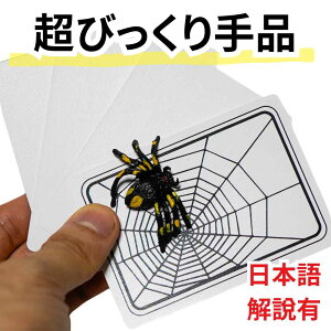 Spider And Net Magic }WbN i gvw偁yLz