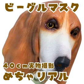 【翌日発送】マスク ビーグル 犬 いぬ マスクゴム ゴムマスク　コスプレ 被り物 動物 60cm 子供大人対応 コスチューム【現品写真有】