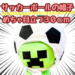 yzTbJ[{[ Xq TbJ[ [hJbv RXv 蕨 30cm tbg{[ tbgT ʂ l qyiʐ^Lz