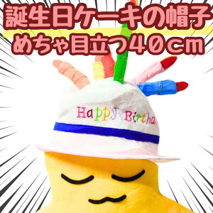 【翌日発送】ケーキ 誕生日 コスプレ 被り物 かぶりもの 帽子 国内 頭囲58cm【残5限定】