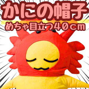 �y���������z���Ɂ@�J�j�@�I�@�R�X�v���@�X�q�@��蕨�@�H�ו��@����40cm ���i�ʐ^�L�y�c3����z