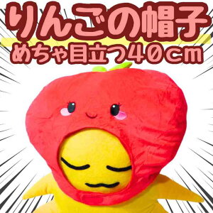 Xq  S Ԃ  ʂ RXv 蕨 ̑  60cm qlΉ@RX`[ ڂ j nEByiʐ^Lz