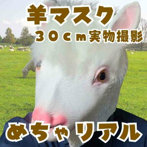 yz}XN ApJ ς qcW Ђ }XNS RXv 蕨  60cm qlΉ RX`[ j nEByiʐ^Lz