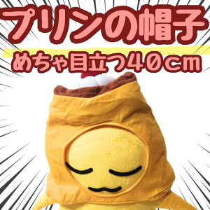 Xq v Ղ fU[g ʂ RXv 蕨 ̑  60cm qlΉ@RX`[ ڂ j nEByiʐ^Lz