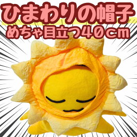 【翌日発送】帽子 ひまわり　向日葵　ぬいぐるみ コスプレ 被り物 60cm 子供大応対応 コスチューム ぼうし お祝い ハロウィン プレゼント袋付【現品写真有】