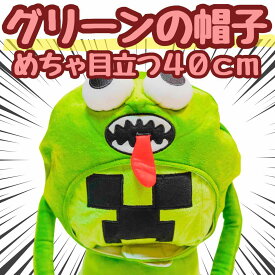 【翌日発送】帽子 グリーン　ぬいぐるみ コスプレ 被り物 60cm 子供大応対応 コスチューム ぼうし お祝い ハロウィン プレゼント袋付【現品写真有】