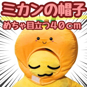 Xq ~J ݂  ʕ ʂ RXv 蕨 ̑  60cm qlΉ RX`[40cmyz