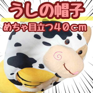 EV 蕨 Ԃ Xq   ̑ RXv ʂ 40cmyiʐ^Lz