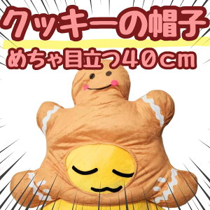 Xq NbL[ WW[ubh} ʂ RXv 蕨  40cm qlΉ NX}X yiʐ^Lz