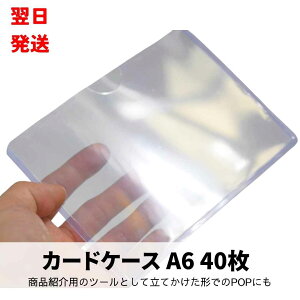 カードケース A6 プラスチック 硬質 硬い ハードタイプ 40枚【残5限定】