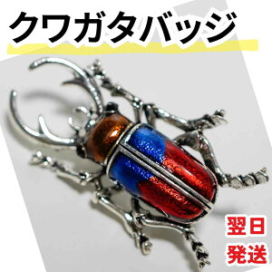 yzys NK^ obW  u[` ANZT[4cmyc5z