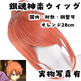 ウィッグ カツラ 神楽 だんご 銀魂 耐熱 サイズ調整可 国内28cm【残3】