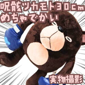 [cJg@ʂ݁@p@傫@}XRbg@30cmyc5z