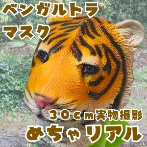 xKg ^CK[  S}XN Aj} 30cmyc3z