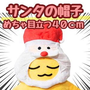 T^ 蕨 RXv ʂ Xq NX}X 40cmyc3z