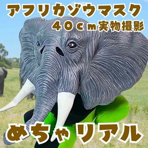 AtJ]E@ہ@}XN@S RXv@A@40cmyc3z