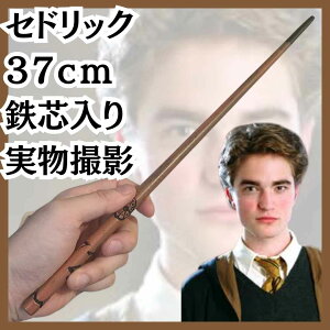 ZhbN  ߑ RXv @g 傫 37cmyc5z