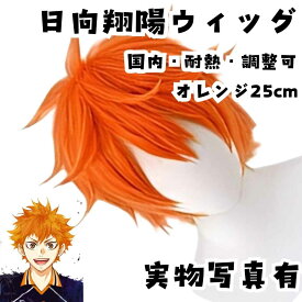 ウィッグ　カツラ　日向翔陽　ハイキュー!!　国内・耐熱・調整可　オレンジ25cm