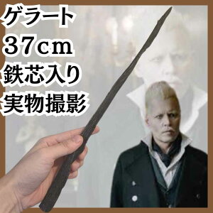 Q[g  ߑ n|^ RXv  傫 37cmyc5