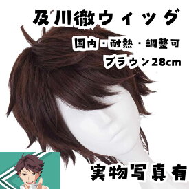 及川徹 ウィッグ ハイキュー 耐熱調整可 ブラウン 国内28cm【残3】