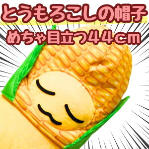 Ƃ낱@蕨@RXv@傫@@44cmyc3z