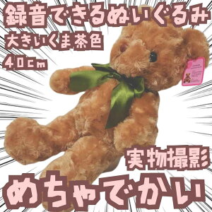 ^łʂ݁@ʂ݁@N}@傫@@40cm@yc3z