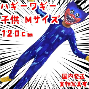 nM[M[@RXv@120cm@qp@mTCY@ߑ@@yc5̂݁z