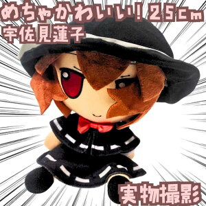 F@q@ʂ݁@project@傫@25cmyc3z