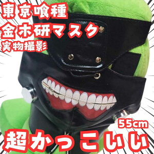 ،@}XN@@ʁ@RXv@@55cmyc3z