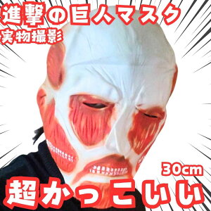 i̋l@蕨@S}XN@RXv@sN@30cmyc3z