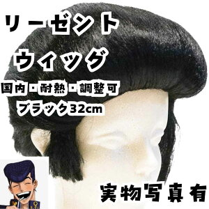 �����@�E�B�b�O�@�W���W�� ���[�[���g�@�R�X�v���@�ϔM�@����32cm�y�c3�z